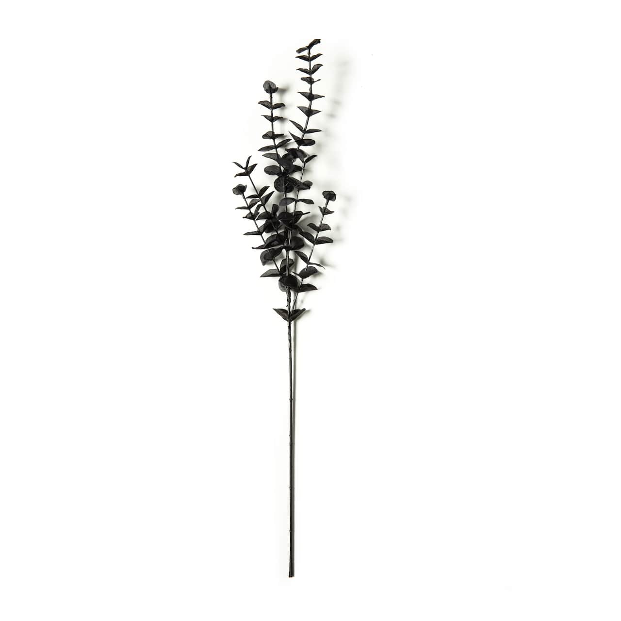 Black Eucalyptus Spray Floral Essentials by Ashland&#xAE;